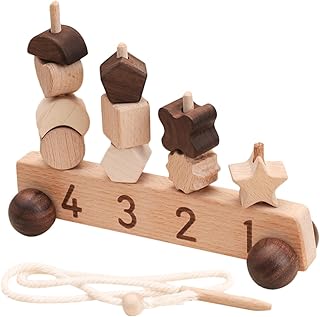 Totority 1 セット 車のモデル 幾何学的選別板 学習パズルおもちゃ 早期学習おもちゃ 幼児のおもちゃ 積み木を積み上げるゲーム キッズカウントボード 幾何学パズル 認識ボード 木製