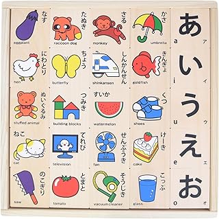 NOKUBI 郡上八幡のもじ積み木 おもちゃ 50ピース 1.5歳以上 日本製おもちゃ (知育玩具)