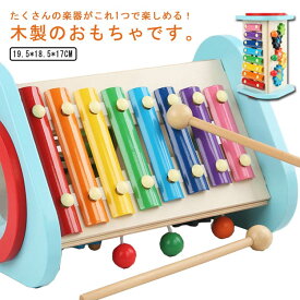 【送料無料】おもちゃ 木のおもちゃ 誕生日 楽器 木製 音楽 子供 出産祝い ベビー 知育玩具 女の子 男の子 赤ちゃん 室内遊び 音が出る