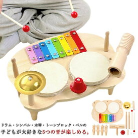 一歳 音の出るおもちゃ 転がし ボール 木 知育玩具 木のおもちゃ 知育 木製 スロープトイ 楽器玩具 太鼓 おもちゃ 楽器