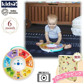 Kids2 Baby Einstein 12357 カルズ スマートサウンズ シンフォニー キッズツー ベビーアインシュタイン 商品動画 木製 木のおもちゃ 音がなる ベビー 6ヶ月 知育玩具 出産祝い 指先運動 室内遊び 出産祝い ギフト プレゼント 誕生日贈り物 ブラックフライデー クリスマス