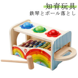 音の出るおもちゃ ハンマートイ 鉄琴 ボール落とし パウンド アンド タップベンチ 知育玩具 2歳 木のおもちゃ ドイツ 名入れ 名前入り とんかち遊び 知育 おもちゃ 木製 男の子 女の子
