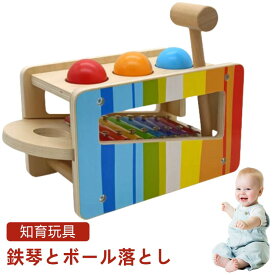 音の出るおもちゃ ハンマートイ 鉄琴 ボール落とし パウンド アンド タップベンチ 知育玩具 1歳 木のおもちゃ ドイツ 名入れ 名前入り とんかち遊び 知育 おもちゃ 木製 男の子 女の子