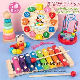木製 知育おもちゃ毛虫 おもちゃ 子供 3D立体 おもちゃ 5PCS 音の出るおもちゃ 学習玩具 形合わせおもちゃ 音楽鉄琴 木製時計 ひもとおし ツイストワーム 玩具 色の認識 形の認知 指先訓練 数字認知 送料無料