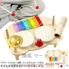 楽器 おもちゃ 太鼓 楽器玩具 スロープトイ 木製 知育 木のおもちゃ 知育玩具 木 ボール 転がし 音の出るおもちゃ 一歳 指先遊び 子供 室内 遊び 音 誕生日 プレゼント 男の子 女の子 1歳 2歳
